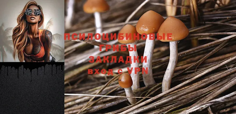 Псилоцибиновые грибы Magic Shrooms  Гусиноозёрск 